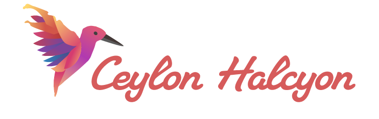 Ceylon Halcyon